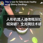 人形机器人通信瓶颈如何突破?全光网技术破解通感控融合难题(图3) 人形机器人通信瓶颈如何突破?全光网技术破解通感控融合难题(图3)