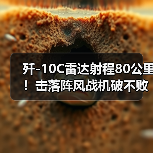 歼-10C雷达射程80公里!击落阵风战机破不败神话(图3) 歼-10C雷达射程80公里!击落阵风战机破不败神话(图3)