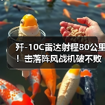 歼-10C雷达射程80公里!击落阵风战机破不败神话(图4) 歼-10C雷达射程80公里!击落阵风战机破不败神话(图4)