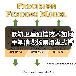低轨卫星通信技术如何重塑消费场景爆发式增长？（图1）