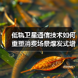 低轨卫星通信技术如何重塑消费场景爆发式增长？（图4）