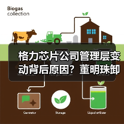 格力芯片公司管理层变动背后原因?董明珠卸任李绍斌接棒(图2) 格力芯片公司管理层变动背后原因?董明珠卸任李绍斌接棒(图2)