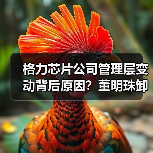 格力芯片公司管理层变动背后原因?董明珠卸任李绍斌接棒(图1) 格力芯片公司管理层变动背后原因?董明珠卸任李绍斌接棒(图1)