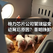 格力芯片公司管理层变动背后原因?董明珠卸任李绍斌接棒(图3) 格力芯片公司管理层变动背后原因?董明珠卸任李绍斌接棒(图3)
