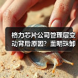 格力芯片公司管理层变动背后原因?董明珠卸任李绍斌接棒(图4) 格力芯片公司管理层变动背后原因?董明珠卸任李绍斌接棒(图4)