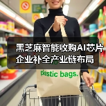黑芝麻智能收购AI芯片企业补全产业链布局（图1）