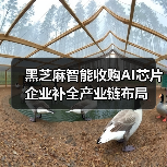 黑芝麻智能收购AI芯片企业补全产业链布局（图2）