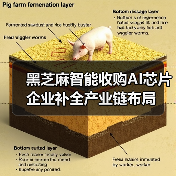 黑芝麻智能收购AI芯片企业补全产业链布局（图3）
