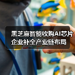 黑芝麻智能收购AI芯片企业补全产业链布局（图4）