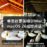 苹果停更英特尔Mac,macOS 26成终点站?(图4) 苹果停更英特尔Mac,macOS 26成终点站?(图4)