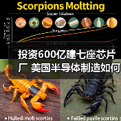 投资600亿建七座芯片厂 美国半导体制造如何冲击全球?(图4) 投资600亿建七座芯片厂 美国半导体制造如何冲击全球?(图4)