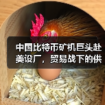 中国比特币矿机巨头赴美设厂,贸易战下的供应链突围(图4) 中国比特币矿机巨头赴美设厂,贸易战下的供应链突围(图4)
