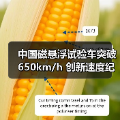 中国磁悬浮试验车突破650km/h 创新速度纪录(图2) 中国磁悬浮试验车突破650km/h 创新速度纪录(图2)