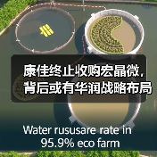 康佳终止收购宏晶微电子 战略调整遇阻？