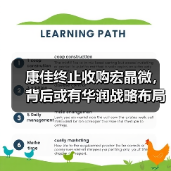 康佳终止收购宏晶微,背后或有华润战略布局?(图3) 康佳终止收购宏晶微,背后或有华润战略布局?(图3)