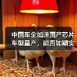 中国车企加速国产芯片车型量产，能否如期实现？（图3）