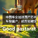 中国车企加速国产芯片车型量产，能否如期实现？（图4）