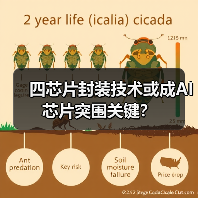 四芯片封装技术或成AI芯片突围关键?(图4) 四芯片封装技术或成AI芯片突围关键?(图4)