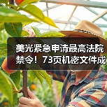 美光专利战升级：如何阻止长江存储获取核心技术？