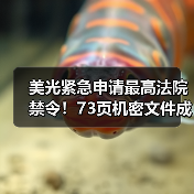 美光紧急申请最高法院禁令!73页机密文件成中美专利战焦点(图3) 美光紧急申请最高法院禁令!73页机密文件成中美专利战焦点(图3)