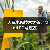 大屏电视技术之争:MiniLED成赢家(图2) 大屏电视技术之争:MiniLED成赢家(图2)