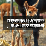液态玻璃设计语言来袭,苹果生态交互革新未来?(图4) 液态玻璃设计语言来袭,苹果生态交互革新未来?(图4)