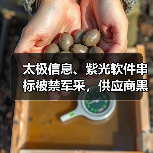 太极信息、紫光软件串标被禁军采，供应商黑名单曝光（图4）