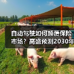 自动驾驶如何颠覆保险市场?高盛预测2030年共享出行冲击行业(图2) 自动驾驶如何颠覆保险市场?高盛预测2030年共享出行冲击行业(图2)