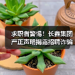 求职者警惕！长鑫集团严正声明揭露招聘诈骗新陷阱（图3）