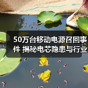 罗马仕大规模召回移动电源 因电芯安全问题引关注