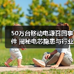 50万台移动电源召回事件 揭秘电芯隐患与行业反思(图3) 50万台移动电源召回事件 揭秘电芯隐患与行业反思(图3)