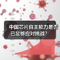中国芯片自主能力是否已足够应对挑战?(图2) 中国芯片自主能力是否已足够应对挑战?(图2)