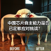 中国芯片自主能力是否已足够应对挑战?(图3) 中国芯片自主能力是否已足够应对挑战?(图3)