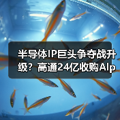 半导体IP巨头争夺战升级?高通24亿收购Alphawave背后的战略意图(图3) 半导体IP巨头争夺战升级?高通24亿收购Alphawave背后的战略意图(图3)