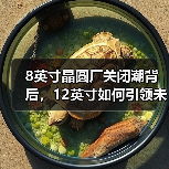 12英寸晶圆制造全面提速，如何抢占市场先机？