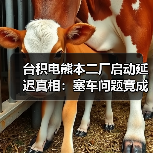 台积电熊本二厂启动延迟真相：塞车问题竟成主因？（图4）