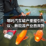 哪吒汽车破产重整引热议:新能源产业自救路径何在?(图4) 哪吒汽车破产重整引热议:新能源产业自救路径何在?(图4)