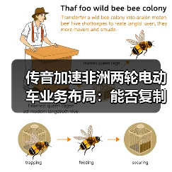 传音加速非洲两轮电动车业务布局:能否复制手机时代渠道霸权?(图4) 传音加速非洲两轮电动车业务布局:能否复制手机时代渠道霸权?(图4)