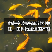 中芯宁波股权转让引关注,国科微加速国产替代布局(图3) 中芯宁波股权转让引关注,国科微加速国产替代布局(图3)
