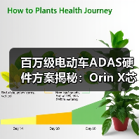 比亚迪仰望域控制器如何实现百万级智能驾驶？