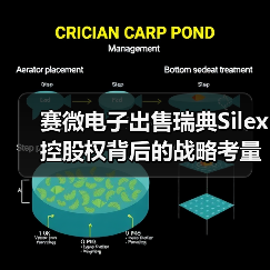赛微电子出售瑞典Silex控股权背后的战略考量（图1）