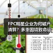 FPC明星企业为何破产清算?多重困境致命运转折(图2) FPC明星企业为何破产清算?多重困境致命运转折(图2)