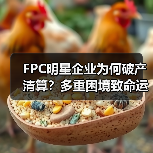 四川上达电子破产清算背后：技术突围为何难挽败局？