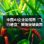 中国AI企业如何用“飞行硬盘”策略突破美国算力封锁？