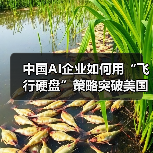 中国AI企业如何用“飞行硬盘”策略突破美国算力封锁?(图4) 中国AI企业如何用“飞行硬盘”策略突破美国算力封锁?(图4)