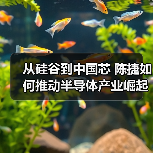 从硅谷到中国芯 陈捷如何推动半导体产业崛起?(图1) 从硅谷到中国芯 陈捷如何推动半导体产业崛起?(图1)