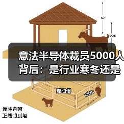 意法半导体裁员5000人，拆分传闻引热议，行业寒冬如何应对？