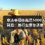 意法半导体裁员5000人背后:是行业寒冬还是战略调整?(图2) 意法半导体裁员5000人背后:是行业寒冬还是战略调整?(图2)