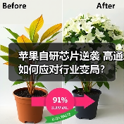 高通苹果分道扬镳，战略转向AI与汽车新战场