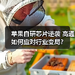 苹果自研芯片逆袭 高通如何应对行业变局?(图2) 苹果自研芯片逆袭 高通如何应对行业变局?(图2)
